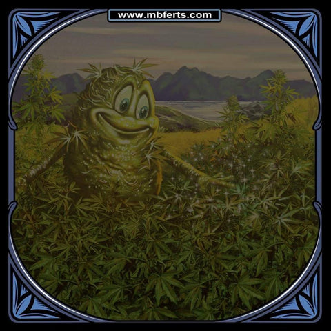 CARBBYS | CARBOHYDRATES BOOSTER | Blend Of SUGARS Increases BRIX